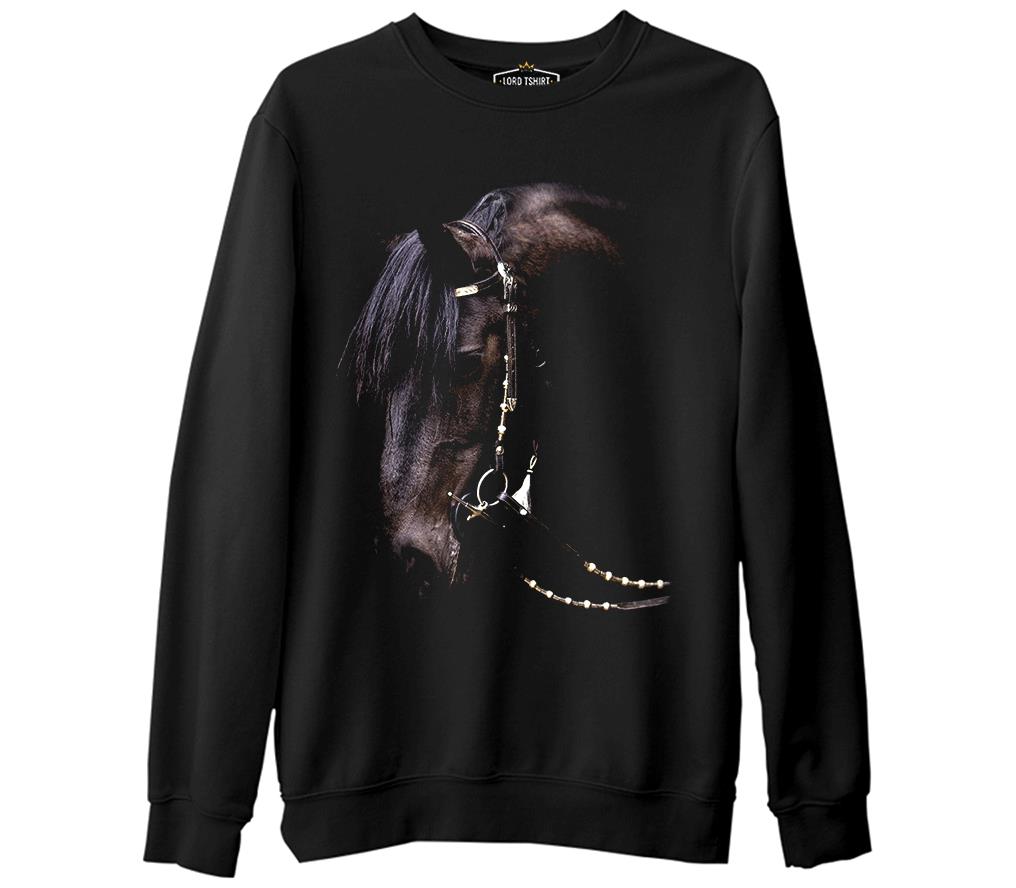 At 2  Siyah Erkek Kalın Sweatshirt
