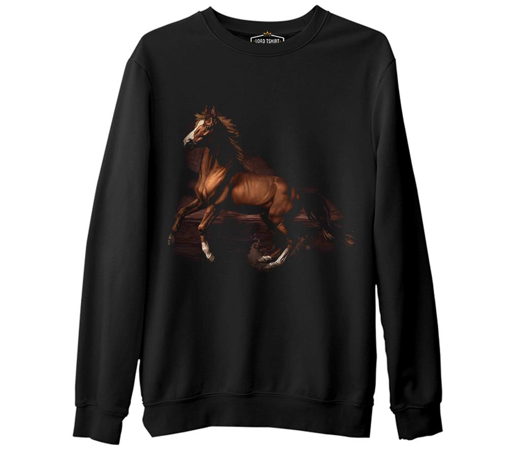 At 3  Siyah Erkek Kalın Sweatshirt