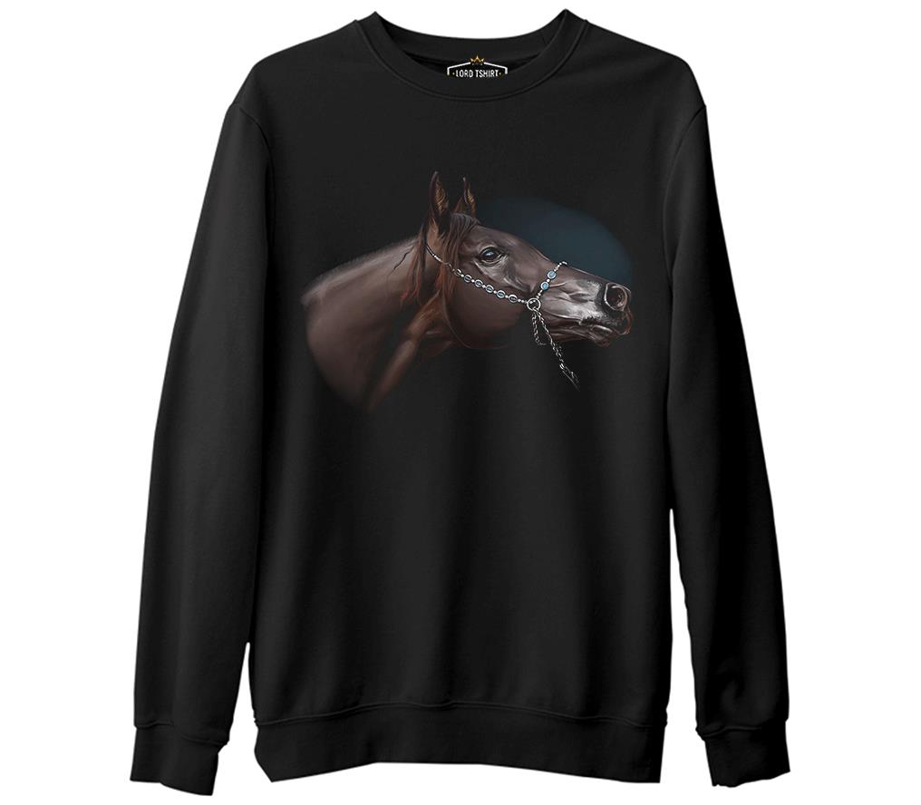 At 6  Siyah Erkek Kalın Sweatshirt