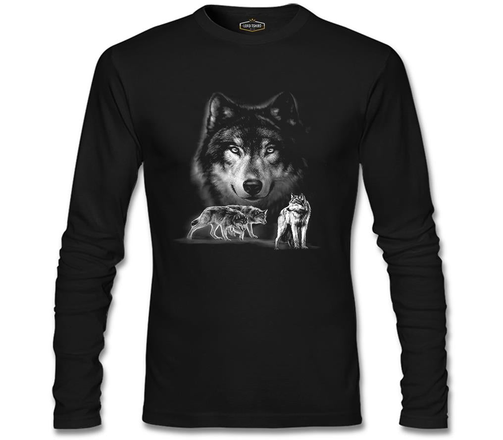 Kurt Siyah Erkek Sweatshirt
