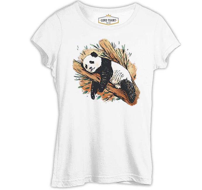 Panda Sleeping on a Branch Beyaz Kadın Tshirt