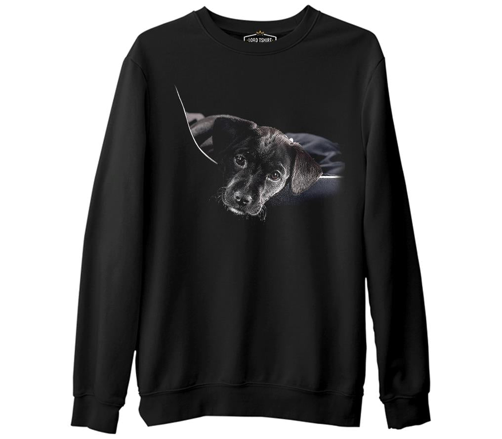 Puppy  Siyah Erkek Kalın Sweatshirt