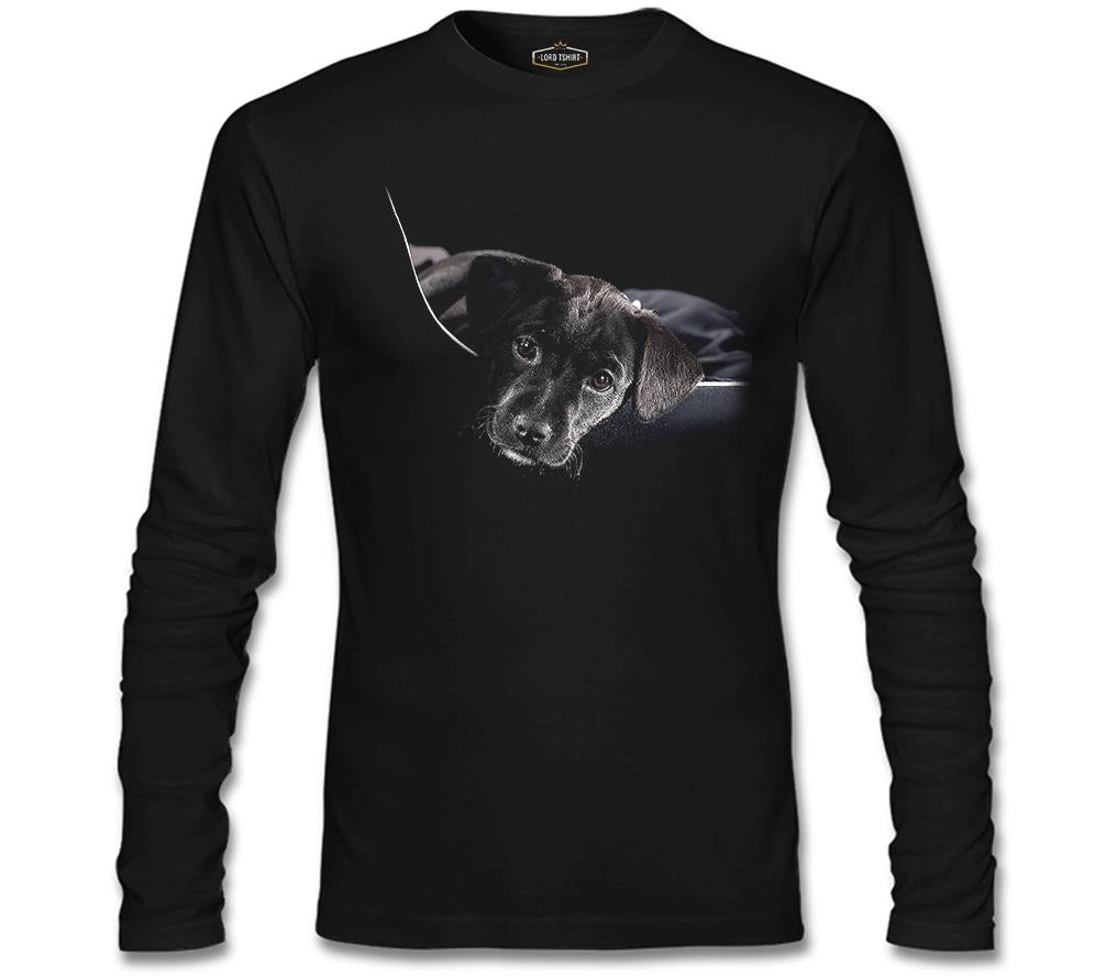 Puppy Black Men's Sweatshirt